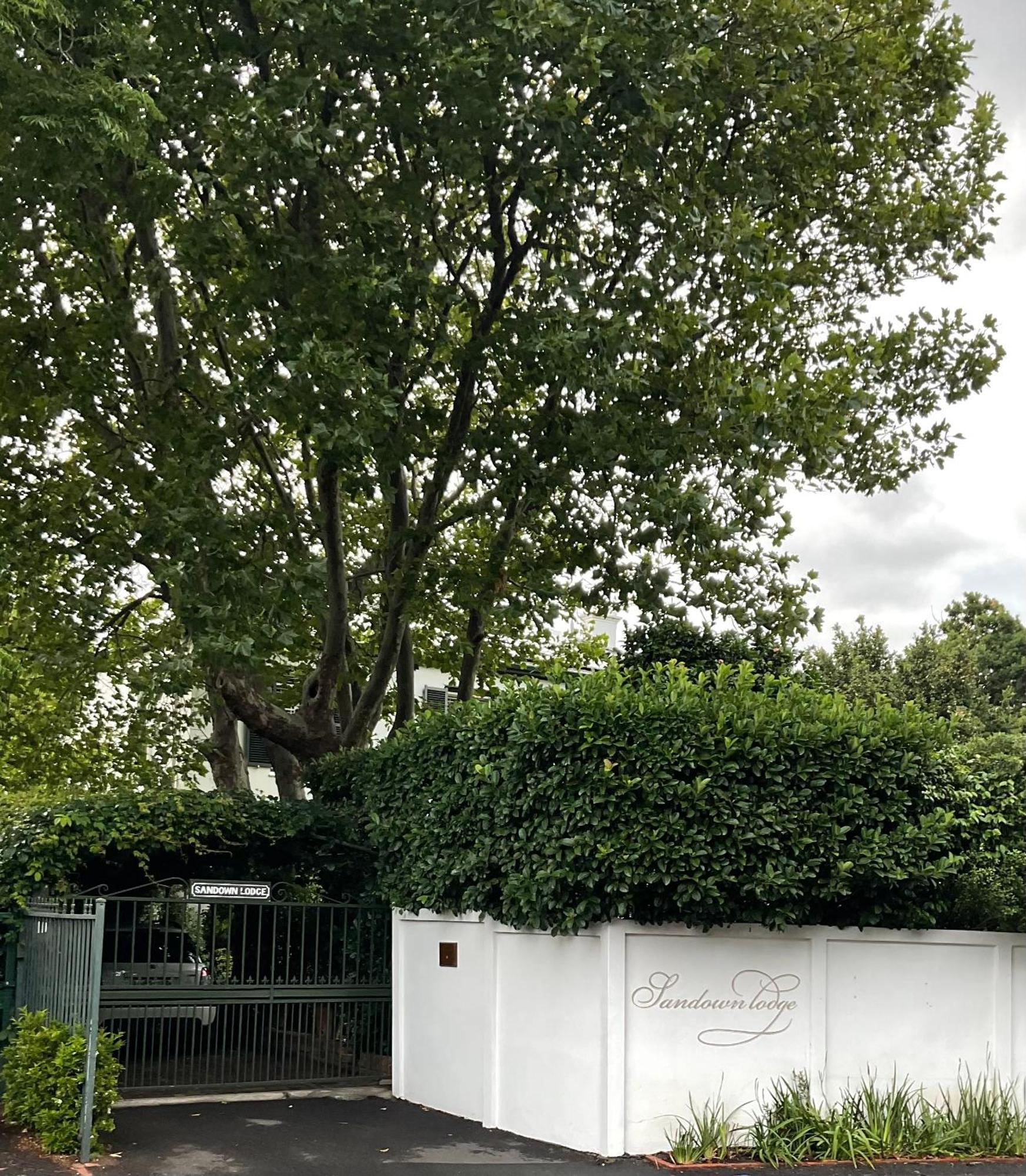 Sandown Lodge Cape Town Bagian luar foto