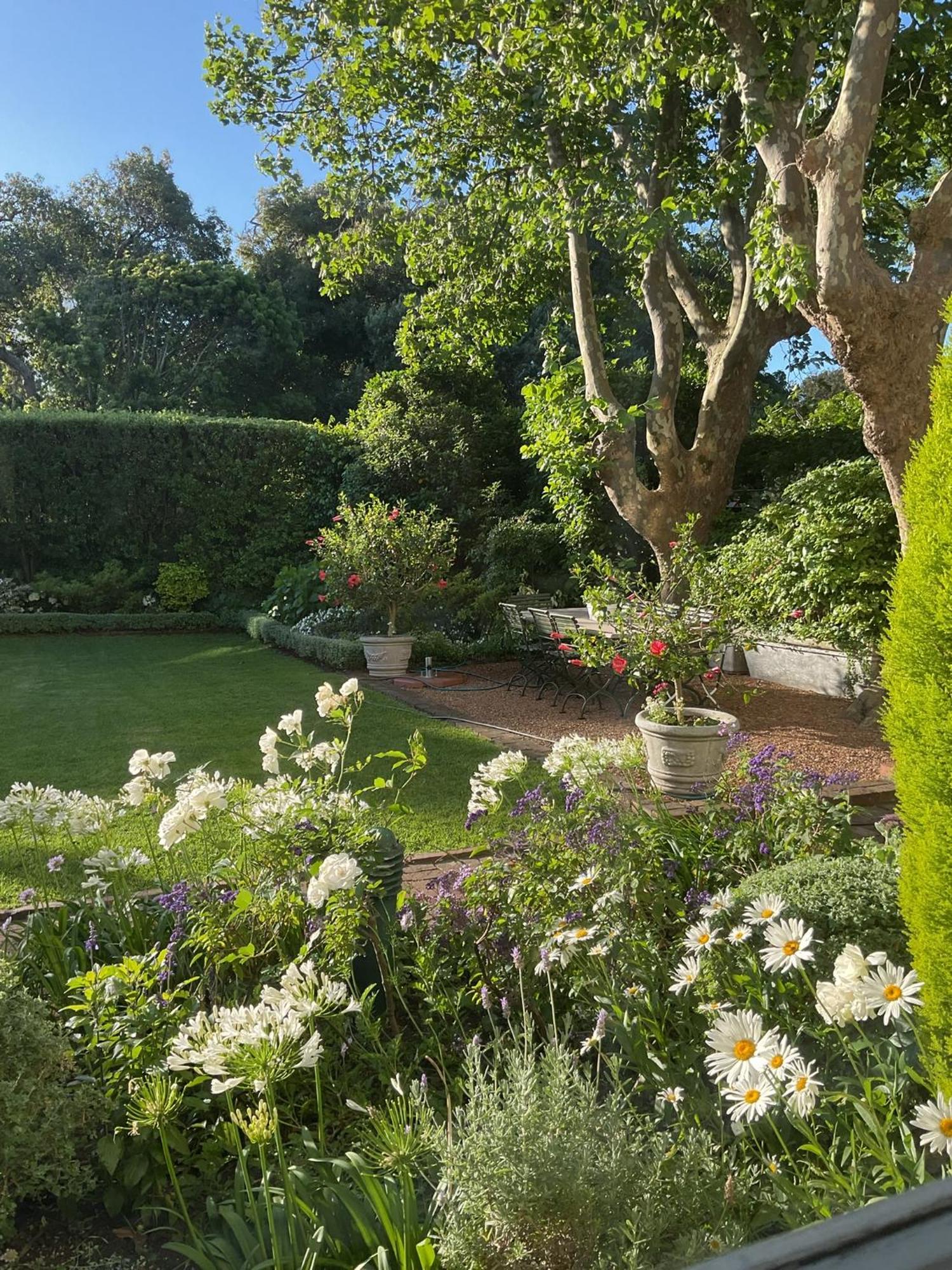 Sandown Lodge Cape Town Bagian luar foto