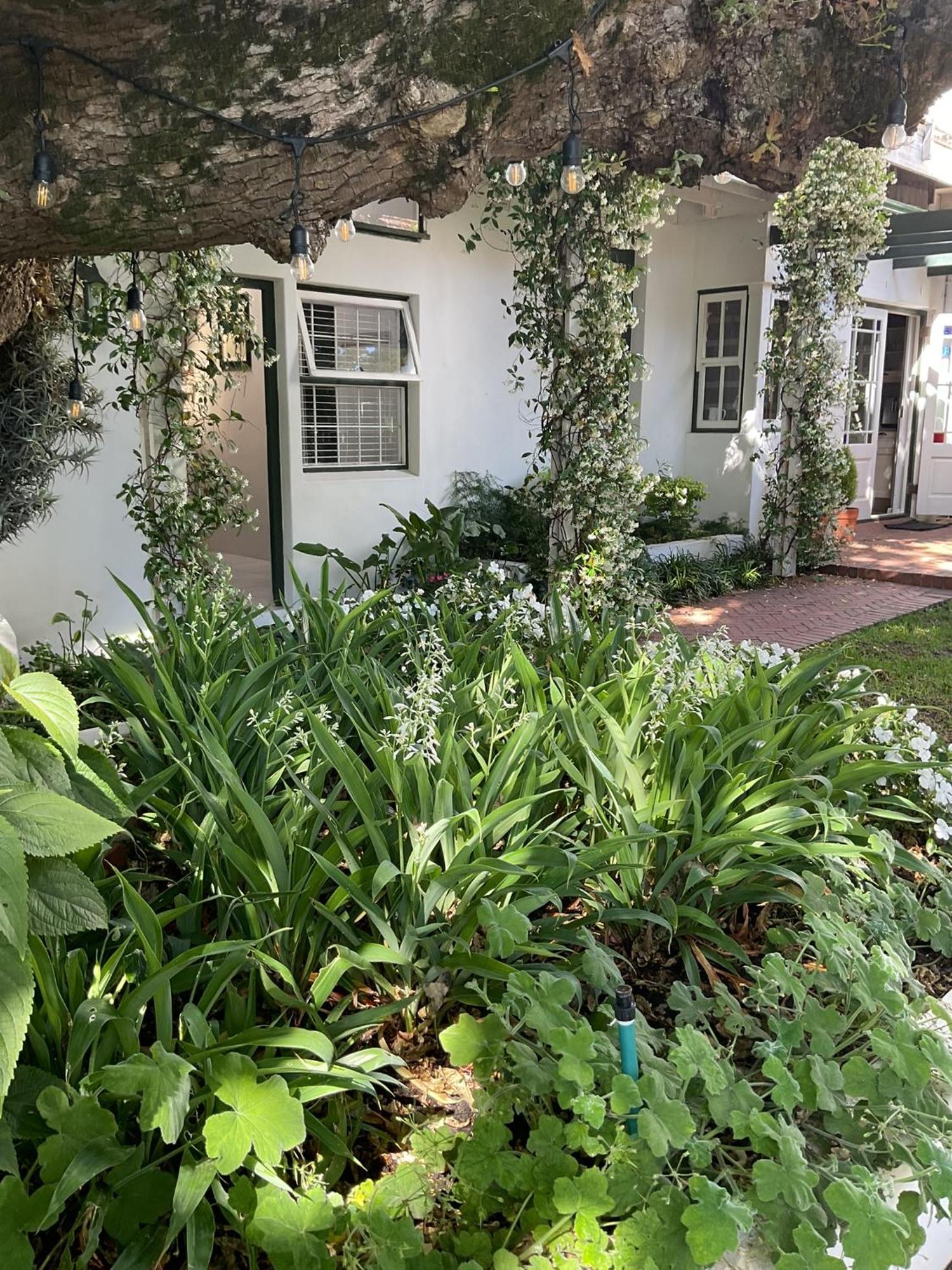 Sandown Lodge Cape Town Bagian luar foto